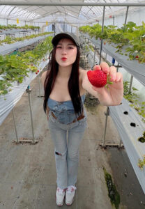 Panchanok-สตอเบอรี่